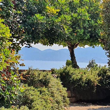 Haus Mit Garten Ueber Der Bucht Von Cannes Vallauris Buitenkant foto
